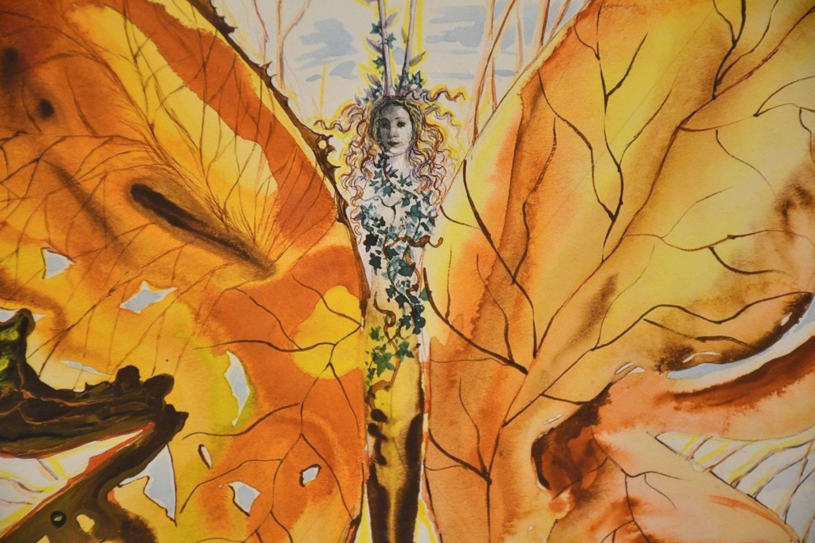 Botanical butterfly costume sketch reference